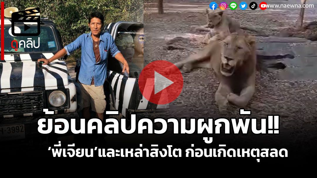 (คลิป) ย้อนดูความผูกพัน 'พี่เจียน' และเหล่าสิงโต ก่อนเกิดเหตุสลด