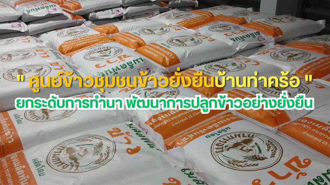 'ศมข.ชัยภูมิ'ยกระดับการทำนาของศูนย์ข้าวชุมชนข้าวยั่งยืนบ้านท่าคร้อ พัฒนาการปลูกข้าวอย่างยั่งยืน
