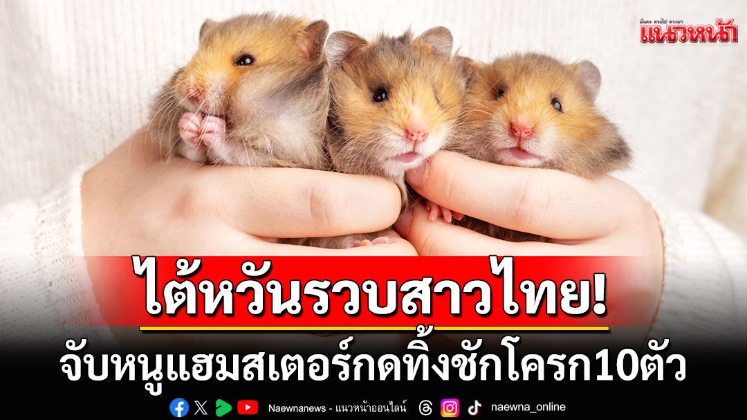 'ไต้หวัน'สั่งฟ้องสาวไทย! จับหนูแฮมสเตอร์10ตัวกดทิ้งชักโครก ก่อนโพสต์คลิปประชดแฟน