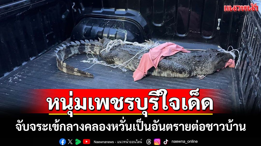 หนุ่มบ้านแหลมใจเด็ด! ใช้เชือกคล้องคอจับจระเข้โผล่ลอยคอกลางคลองบางลำภู