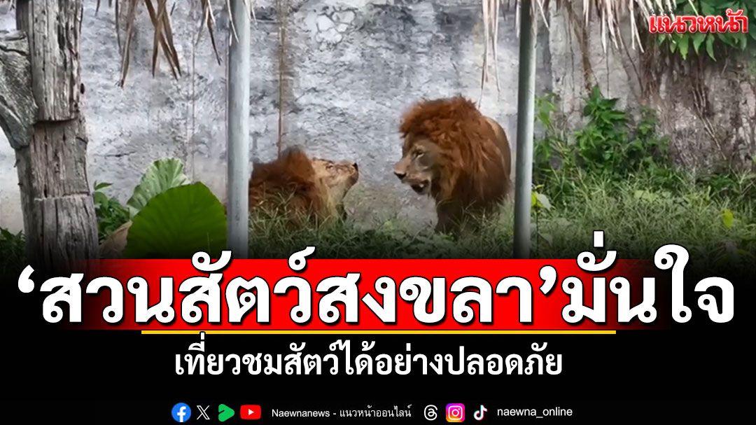 'สวนสัตว์สงขลา'มั่นใจ เที่ยวชมสัตว์ได้อย่างปลอดภัย ตามมาตรฐาน WAZA
