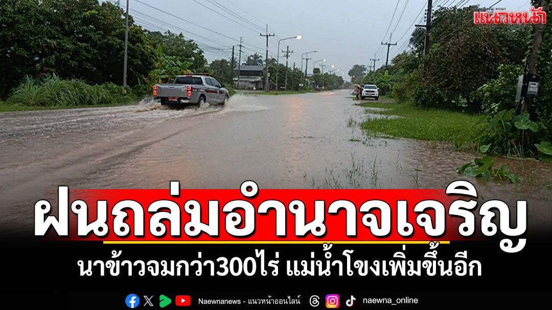 ฝนถล่มอำนาจเจริญ! นาข้าวจมน้ำกว่า300ไร่ แม่น้ำโขงเพิ่มขึ้น เฝ้าระวัง24ชม.