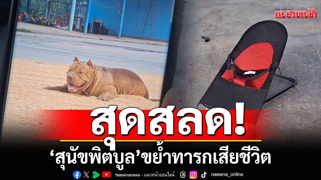 สุดสลด! 'สุนัขพิตบูล'ขย้ำทารกวัย 2 เดือนเสียชีวิต