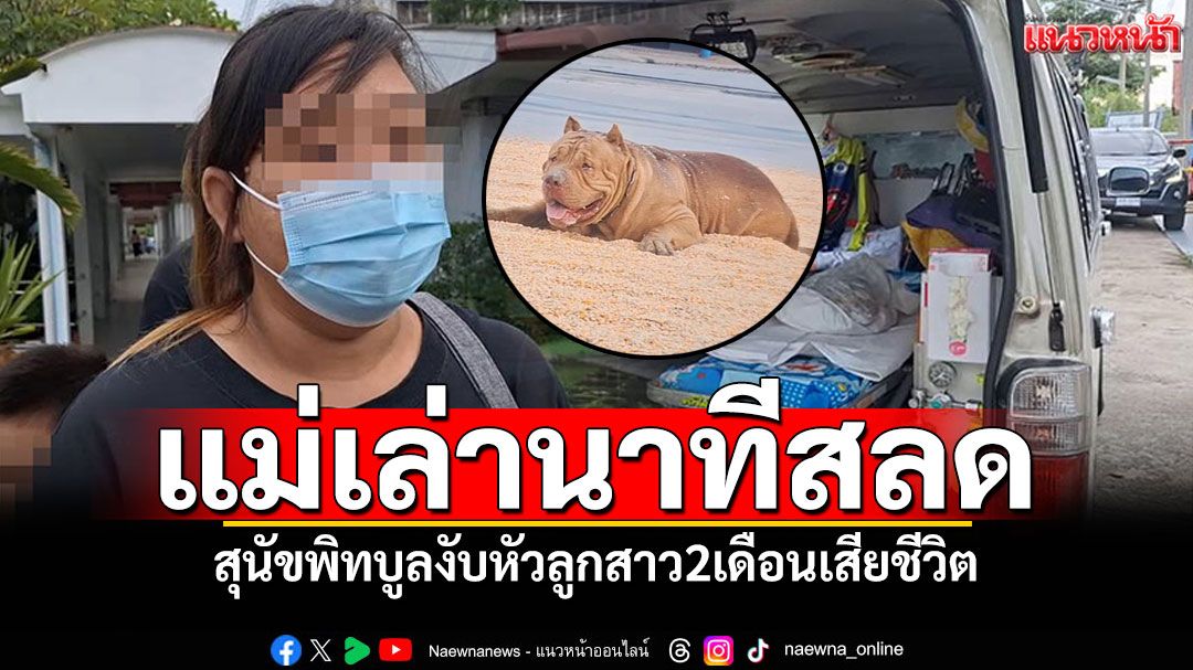 แม่เด็กเล่านาทีสลด! สุนัขพิทบูล งับหัวลูกสาว2เดือนเสียชีวิต