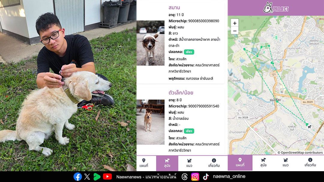 มช. พัฒนาระบบ “i-Tracker: AirTag” ติดตามสุนัขจรในพื้นที่มหาวิทยาลัย เสริมแนวคิดสุนัขชุมชน อยู่ร่วมกันอย่างยั่งยืน