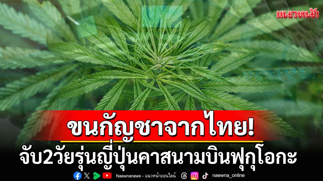 คาสนามบิน! จับ2วัยรุ่นญี่ปุ่นลอบขนกัญชาจากไทย ซุกเนียนในกล่องแกงกะหรี่สำเร็จรูป