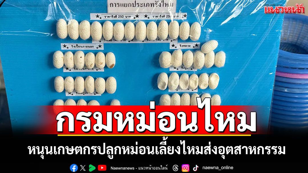 'กรมหม่อนไหม'หนุนเกษตกรปลูกหม่อนเลี้ยงไหม ส่งเอกชนกลุ่มตลาดไหมอุตสาหกรรม