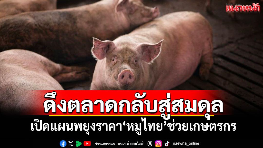 ดึงตลาดกลับสู่สมดุล! 'สมาคมผู้เลี้ยงสุกรฯ'เปิดแผนพยุงราคา'หมูไทย'ช่วยเกษตรกร