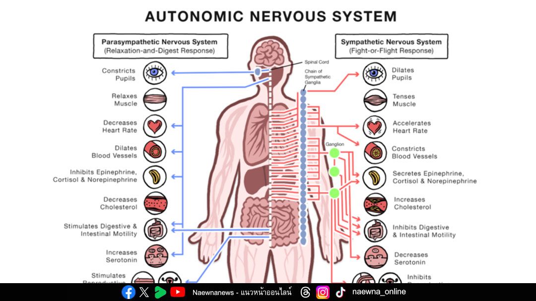 ท้องอืด ลมในท้องเยอะ อาจเกิดจากโครงสร้างร่างกายที่ไม่สมดุล