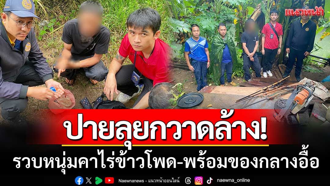 ปายลุยกวาดล้าง! รวบหนุ่มคาไร่ข้าวโพด พร้อมยึดยาบ้า-ฝิ่น-อาวุธ-ไม้เถื่อน