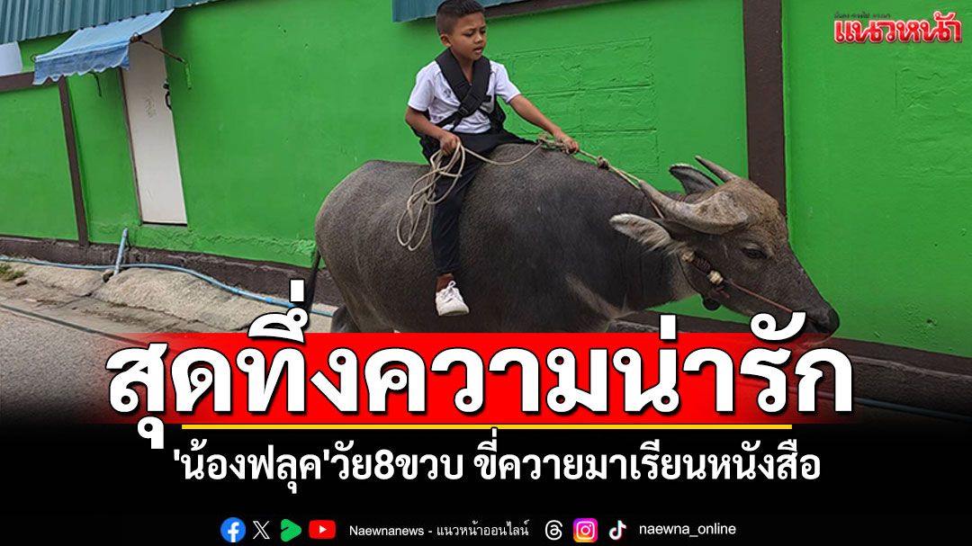 'น้องฟลุค'วัย8ขวบ ขี่ควายมาเรียนหนังสือ สร้างกระแสไวรัลให้โรงเรียน