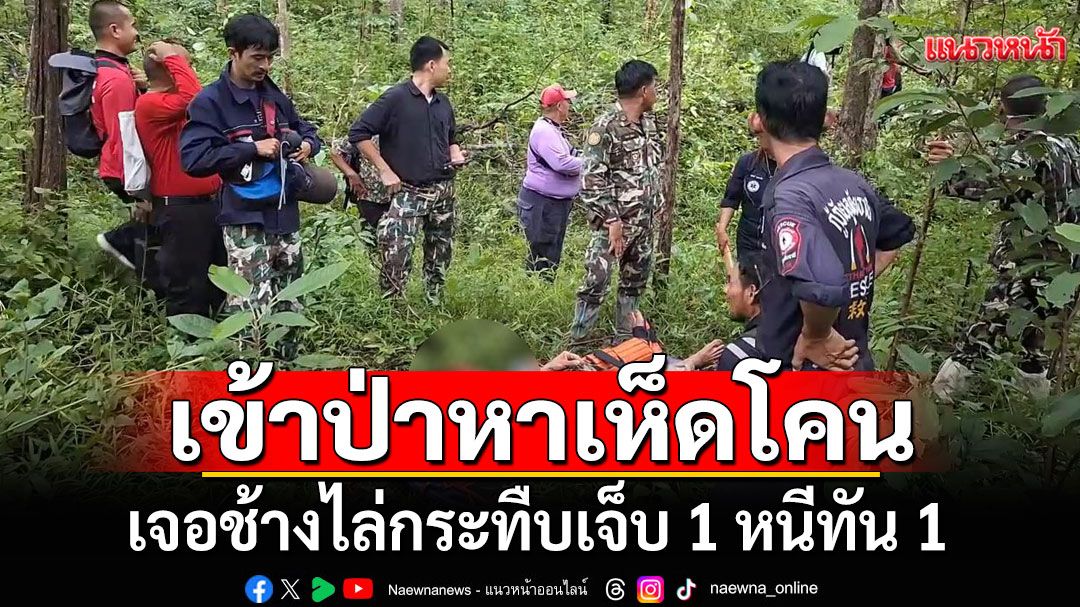 นาทีชีวิต!!! 2 หนุ่มใหญ่เข้าป่าหาเห็ดโคน เจอช้างไล่กระทืบเจ็บ 1 หนีทัน 1