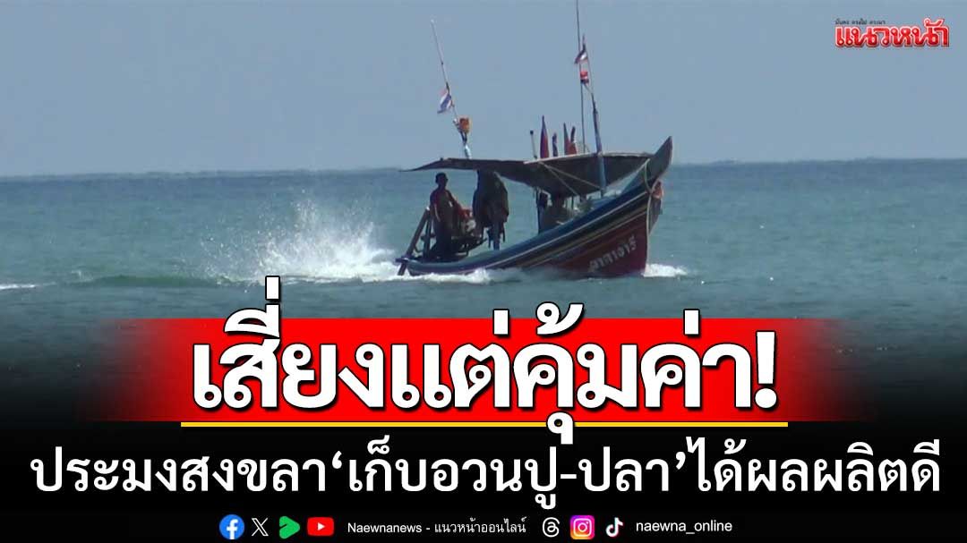 ประมงสงขลาออกเรือ ‘เก็บอวนปู-ปลา’ ก่อนรีบกลับเข้าฝั่งตามคำเตือนกรมอุตุฯ