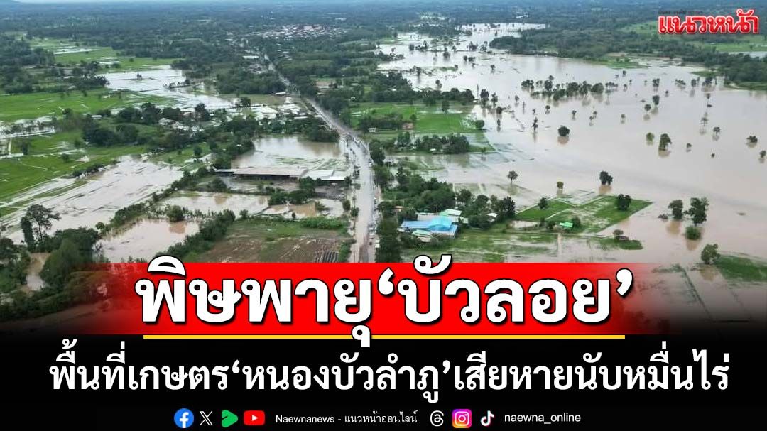พายุ‘บัวลอย’ถล่ม‘หนองบัวลำภู’ พื้นที่เกษตรเสียหายนับหมื่นไร่ กระทบ 1,090 ครัวเรือน