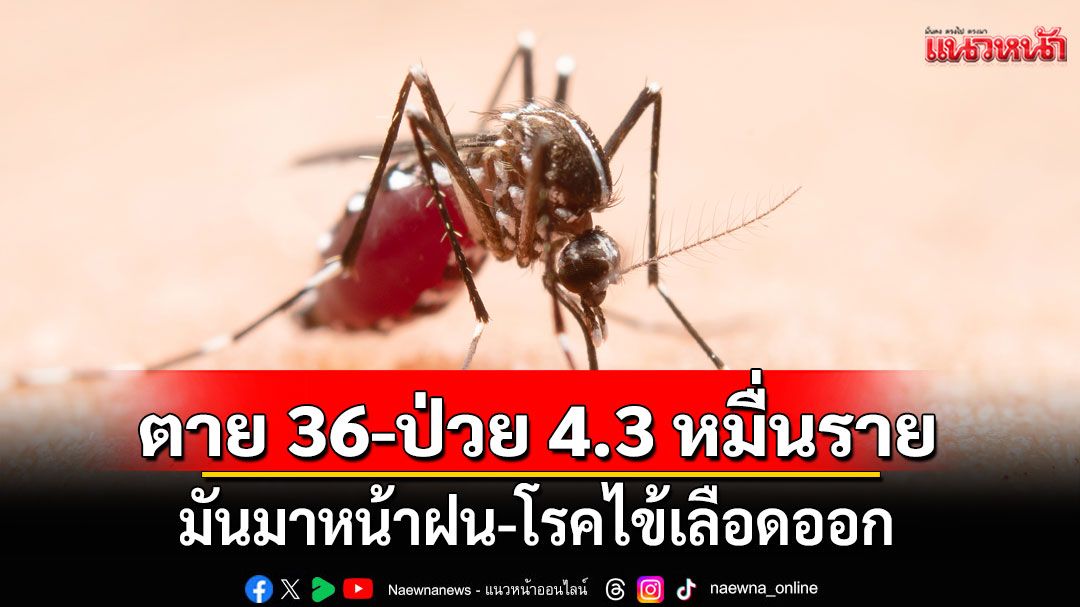แนวหน้าวิเคราะห์ : ตายแล้ว 36 ราย-ป่วย 4.3 หมื่นราย  มันมาหน้าฝน-โรคไข้เลือดออก