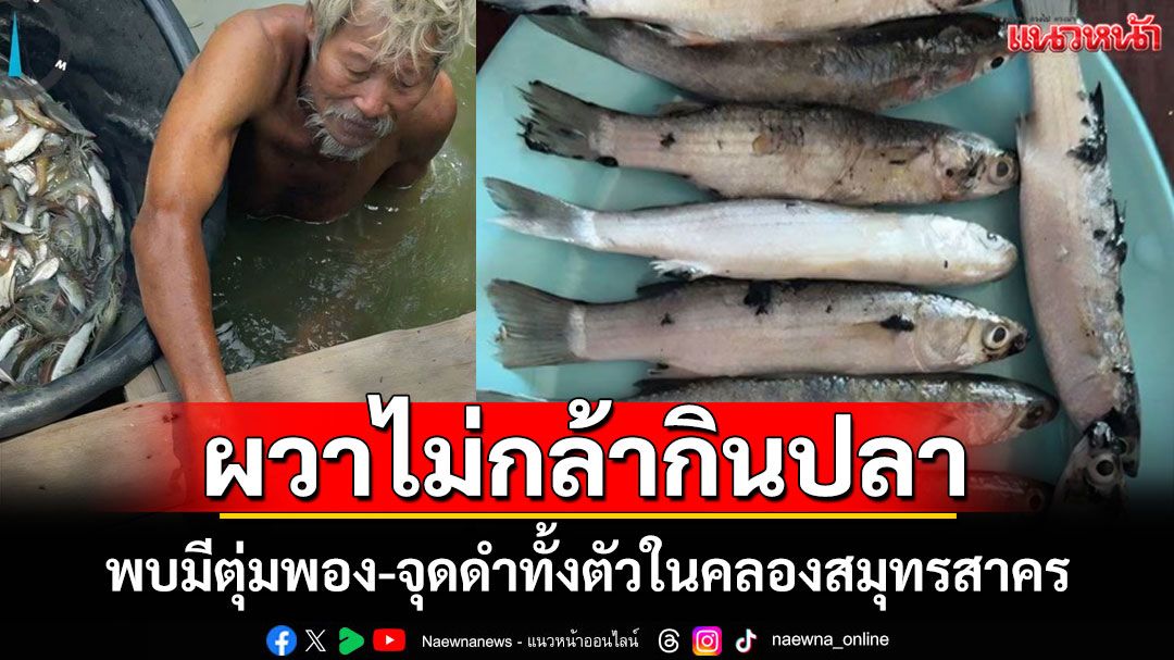 ชาวบ้านผวาไม้กล้ากิน 'ปลากระบอก' คลองสมุทรสาคร พบมีตุ่มพอง-จุดดำทั้งตัว