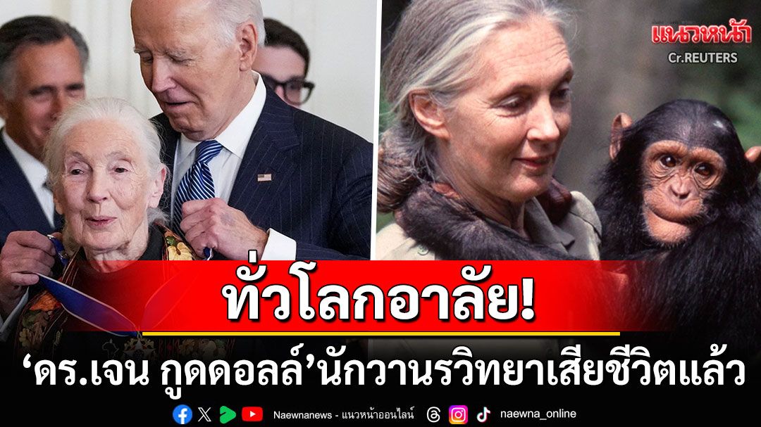 ทั่วโลกอาลัย! 'ดร.เจน กูดดอลล์'นักวานรวิทยาเสียชีวิตแล้วในวัย91ปี