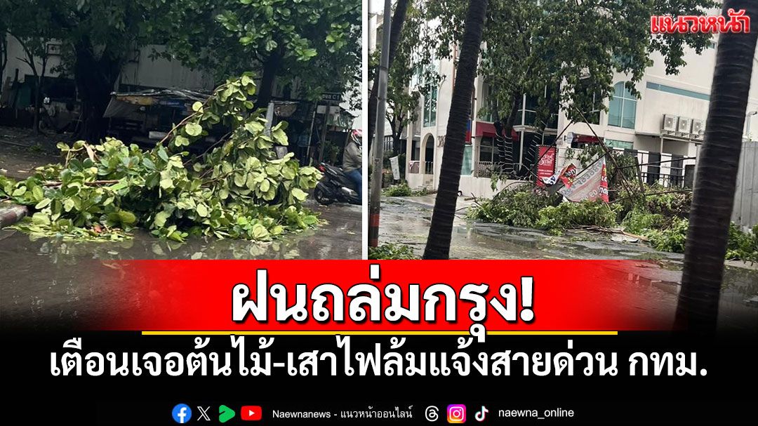 ฝนถล่มกรุง! เตือนประชาชนเจอต้นไม้-เสาไฟล้มแจ้งสายด่วน กทม.