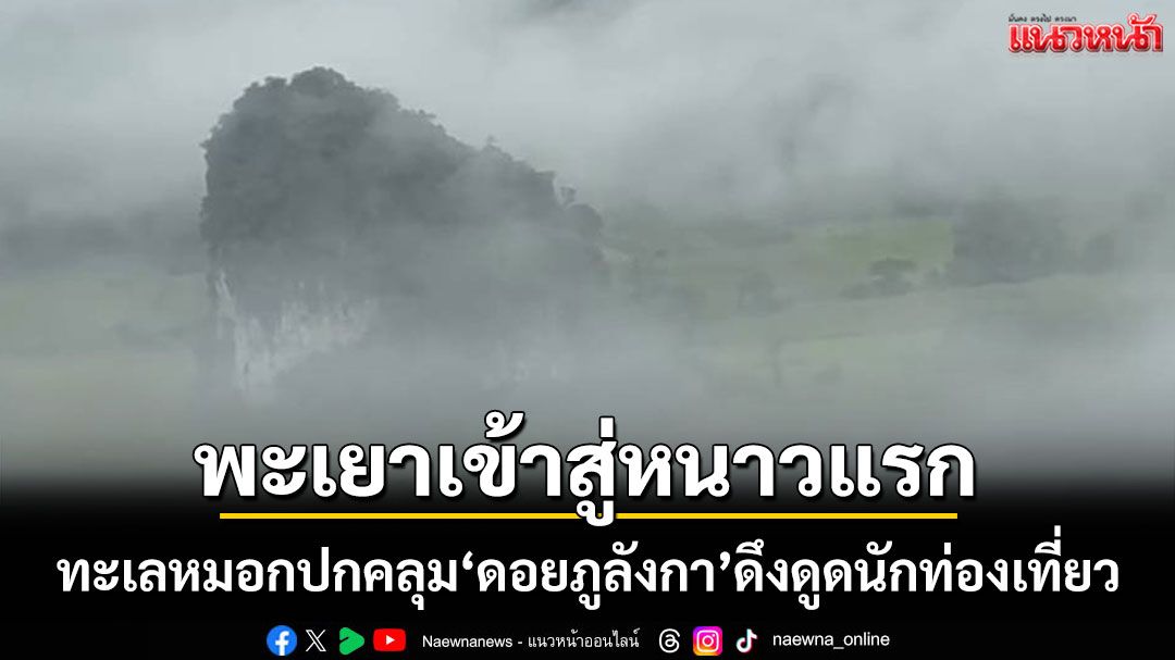 หนาวแรกมาแล้ว! พะเยาเข้าสู่ฤดูท่องเที่ยวชม 'ทะเลหมอกดอยภูลังกา' งดงามสุดตา