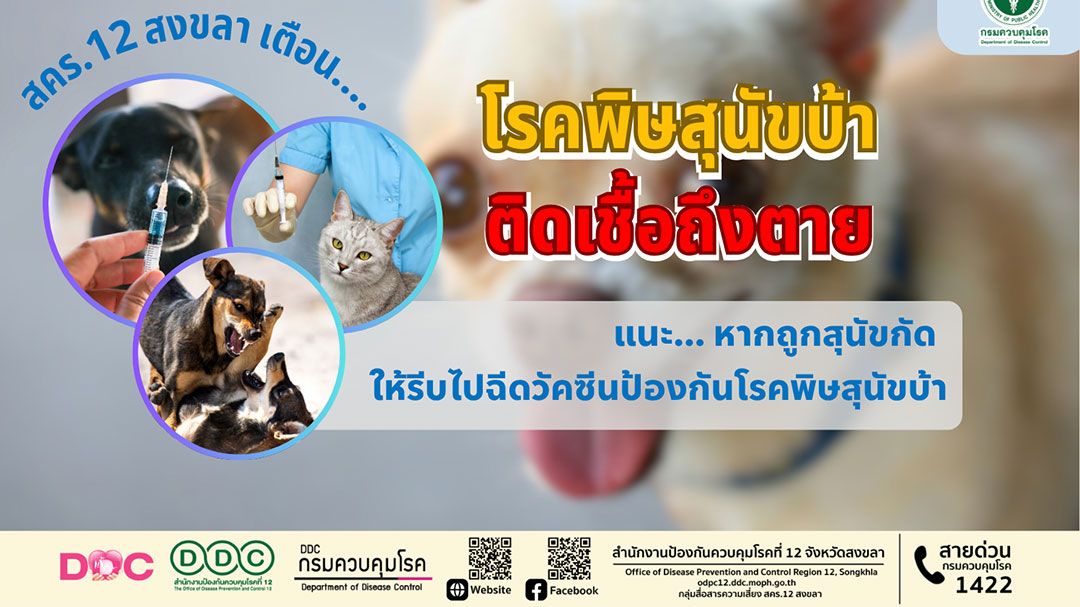 สคร.12 สงขลา เตือน พิษสุนัขบ้า แนะ ถูกสุนัขกัดให้รีบไปฉีดวัคซีน