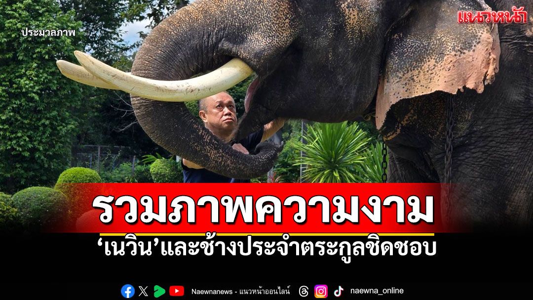 รวมภาพความงดงาม'เนวิน' ทำพิธีปะกำช้าง 10 เชือก วันคล้ายวันเกิด67ปี