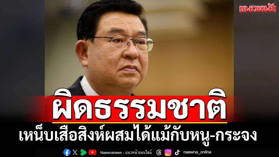 ผิดธรรมชาติ!  ‘เจิมศักดิ์’เหน็บเจ็บๆ ฤดูผสมพันธุ์เริ่มแล้ว เสือสิงห์ผสมได้แม้กับหนู-กระจง