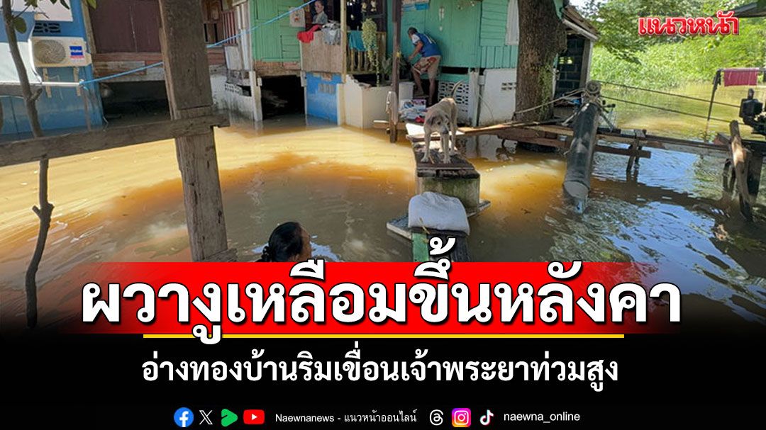 อ่างทองวิกฤต! บ้านริมเขื่อนเจ้าพระยาท่วมสูง ผวางูเหลือมขึ้นหลังคา