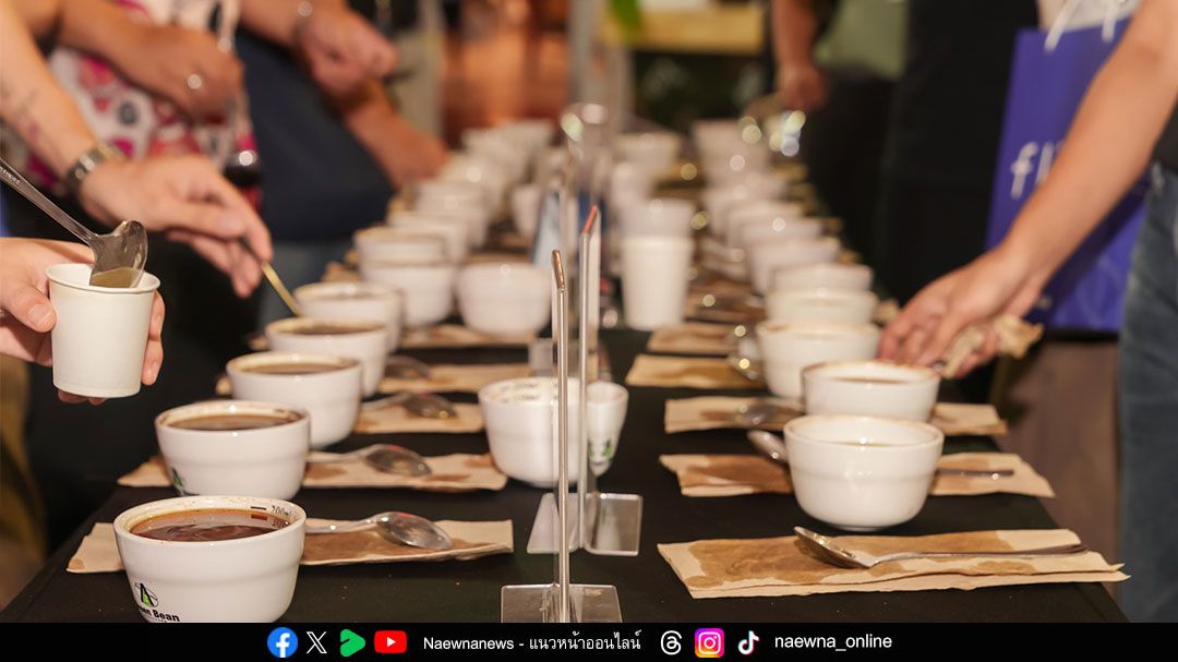 World Coffee Hub เทศกาลงานกาแฟสู่ประสบการณ์ระดับโลก