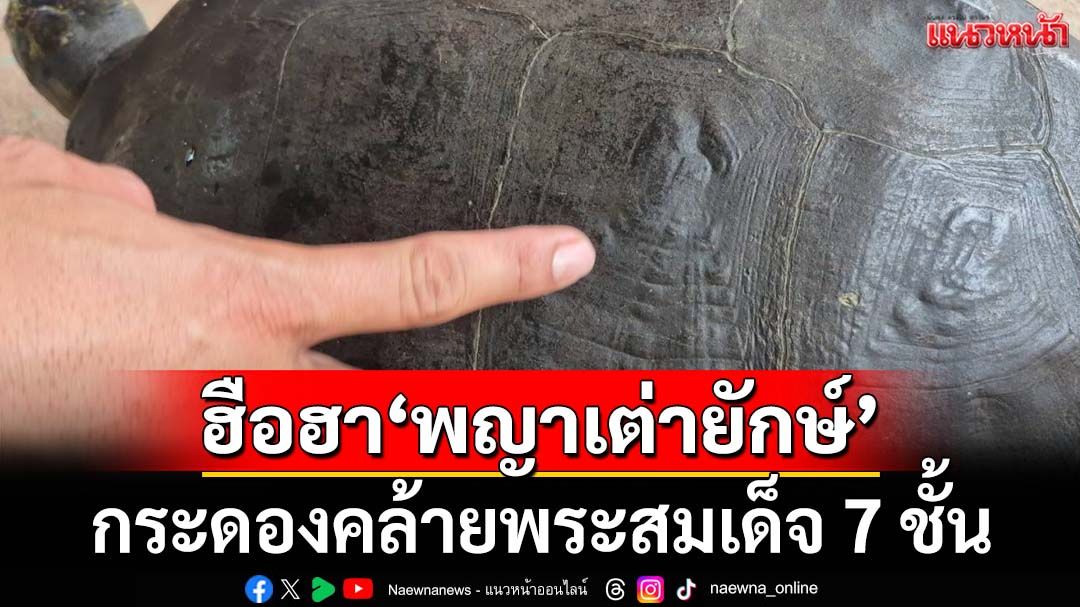 ฮือฮา! ‘พญาเต่ายักษ์’กระดองคล้ายพระสมเด็จ 7 ชั้น เชื่อมาให้โชคก่อนออกพรรษา