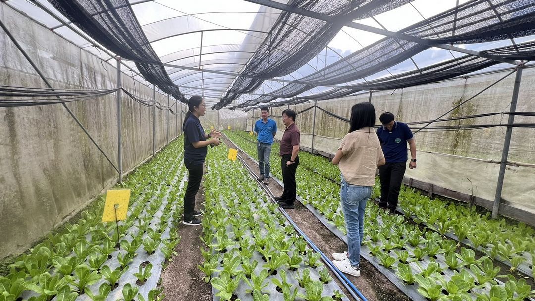 ​ยกระดับ – เพิ่มมูลค่าพืชท้องถิ่น ผลักดันวิจัยส่งเสริมเศรษฐกิจกลุ่มชาติพันธุ์พื้นที่สูง