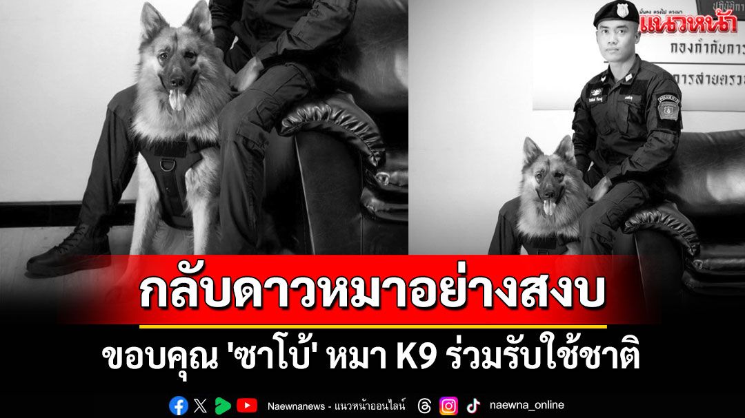 อาลัย 'ซาโบ้' หมา K9 กลับดาวอย่างสงบ ขอบคุณร่วมรับใช้ชาติ