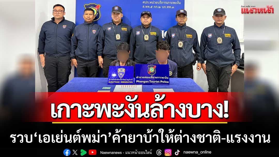 เกาะพะงันล้างบาง! ตำรวจรวบ 'เอเย่นต์พม่า' ค้ายาบ้าให้ชาวต่างชาติ-แรงงาน