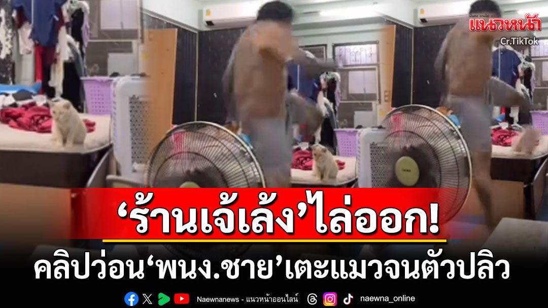 'ร้านเจ้เล้ง'ไล่ออก'พนักงานชาย'เตะแมวจนตัวปลิว ทาสแมวเห็นคลิปแล้วรุมสาปแช่ง
