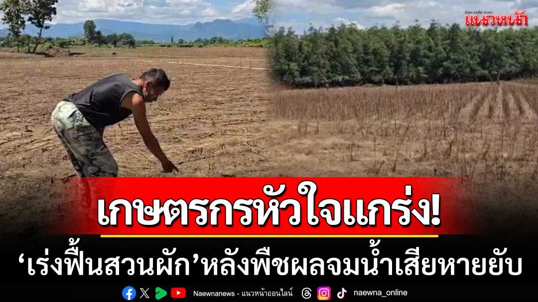 เกษตรกรหล่มสักหัวใจแกร่ง! ‘เร่งฟื้นสวนผัก’ หลังพืชผลจมน้ำเน่าเสียเกือบหมด