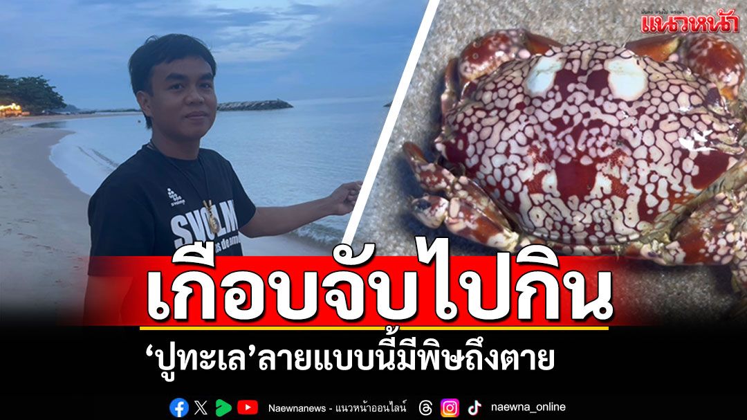 จะจับไปกิน! หนุ่มระยองเจอ'ปู'ลายแปลกตา เอ๊ะใจโพสต์ถามโซเชียล คอมเมนต์ยัน'มีพิษถึงตาย'