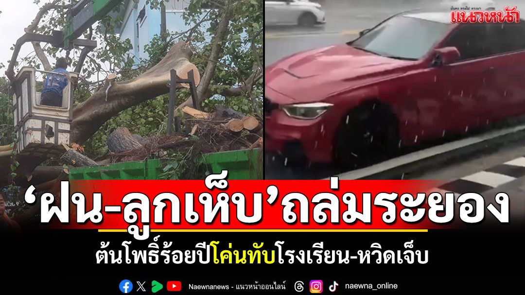 'ฝน-ลูกเห็บ'กระหน่ำเมืองระยอง ต้นโพธิ์ร้อยปีโค่นทับโรงเรียน-หวิดเจ็บ