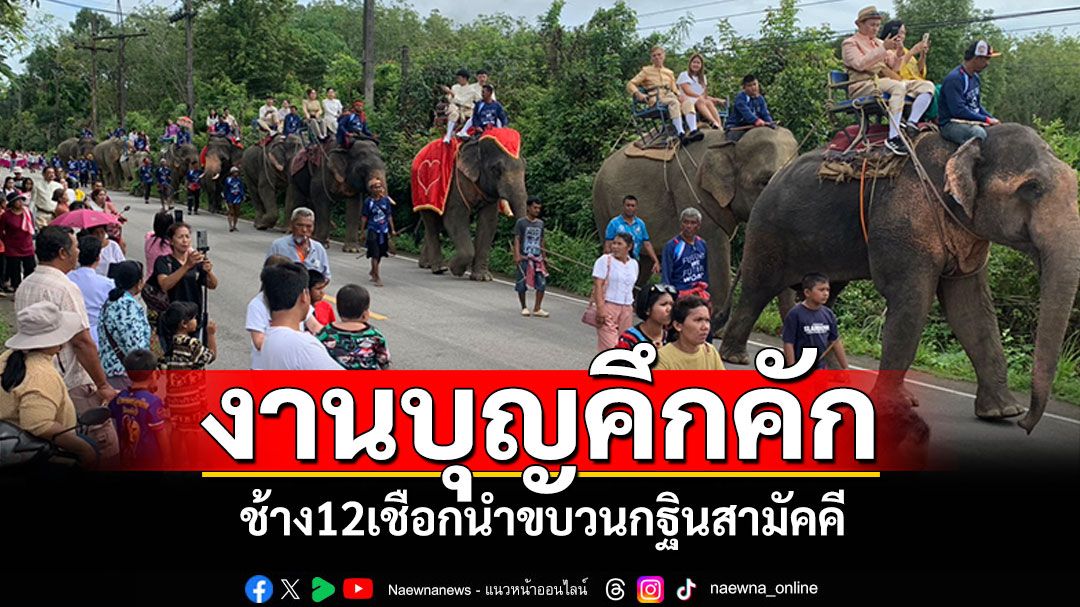 อลังการ! ช้าง12เชือกนำขบวนกฐินสามัคคี ลอดท้องช้างรับบุญ-สร้างโบสถ์ใหม่