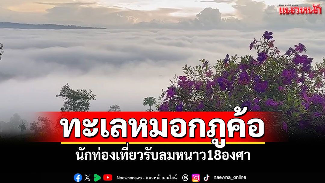 ทะเลหมอกภูค้อ อากาศหนาว18องศา นักท่องเที่ยวสัมผัสความสวยงาม