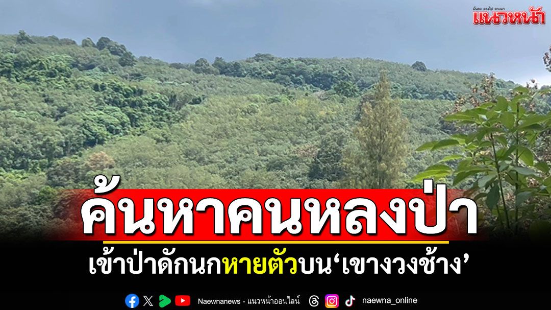 ระดมค้นหา! ชาย52ปีเข้าป่าดักนก หายตัวบน'เขางวงช้าง'ระยอง