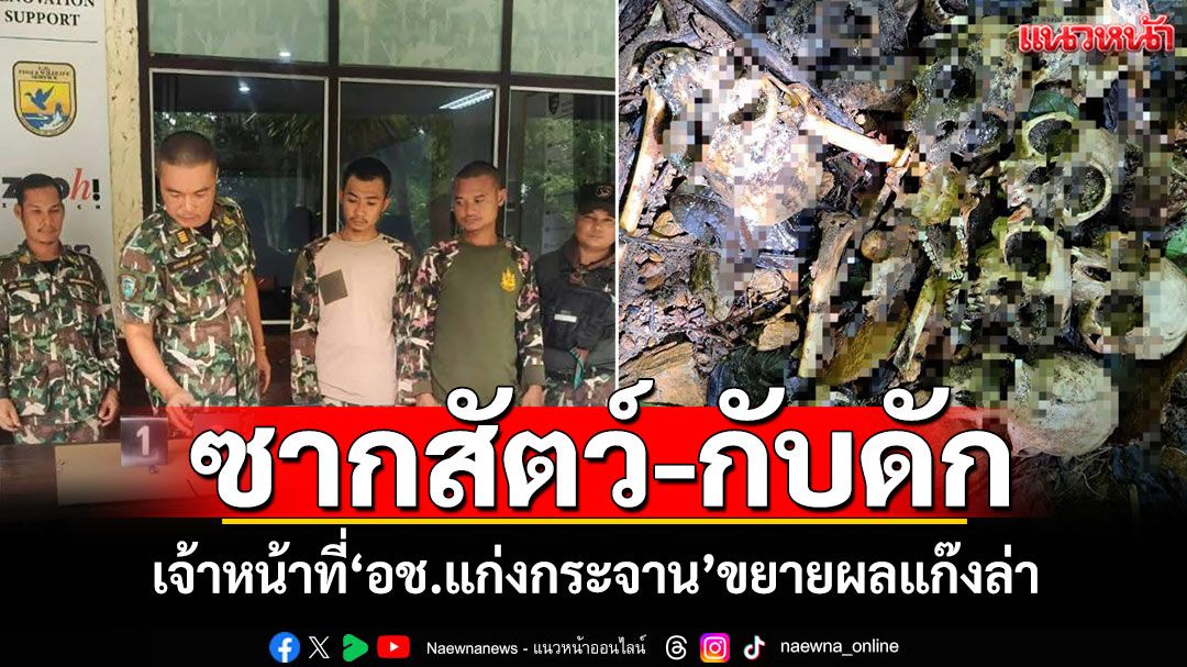 'เจ้าหน้าที่ อช.แก่งกระจาน'ลาดตระเวนป่า พบซากสัตว์-เก็บกู้กับดัก ขยายผลแก๊งล่า