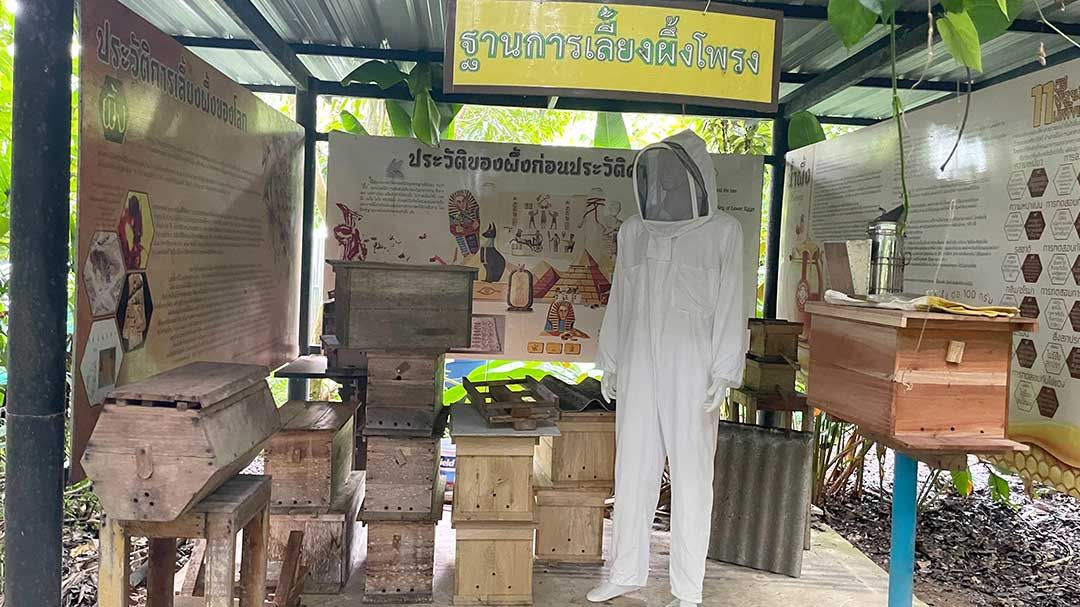 วิสาหกิจชุมชนเลี้ยงผึ้งโพรงไทยธรรมชาติบ้านไทรห้อง ต่อยอดอาชีพเสริม ปั้นรายได้ชุมชนอย่างยั่งยืน