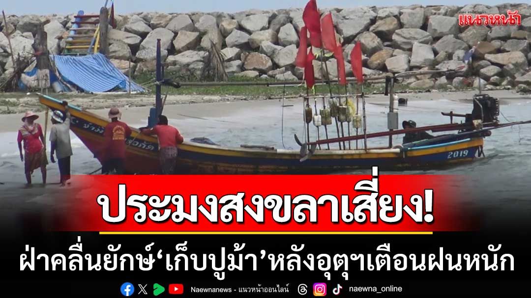 ชีวิตต้องสู้! ชาวประมงสงขลาเสี่ยงฝ่าคลื่นยักษ์ ‘เก็บปูม้า’ หลังอุตุฯเตือนฝนหนัก