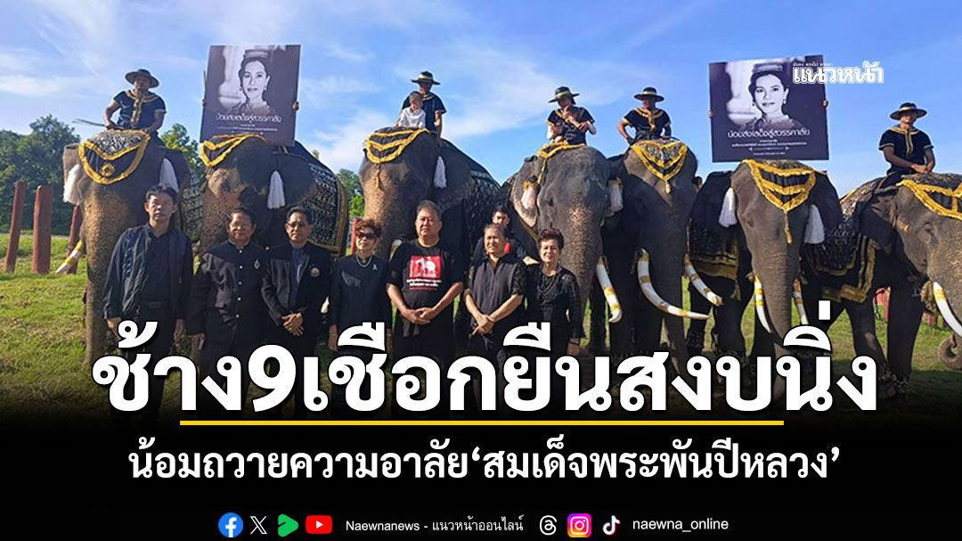 ช้าง9เชือก'วังช้างอยุธยา' ยืนสงบนิ่ง93วินาที น้อมถวายความอาลัย'สมเด็จพระพันปีหลวง'