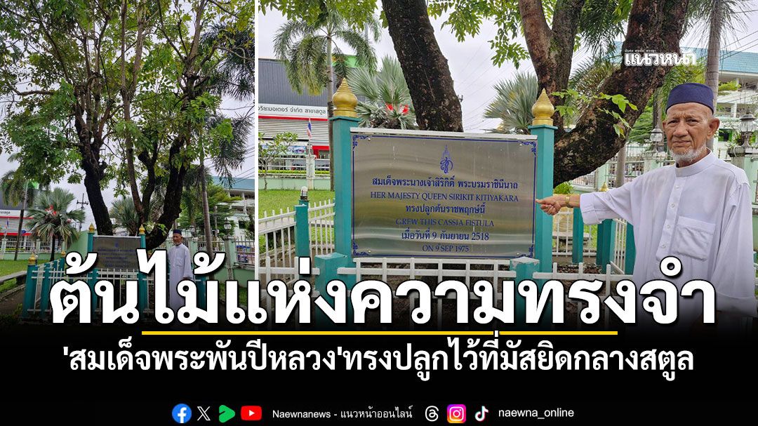 'ต้นไม้แห่งความทรงจำ'ที่มัสยิดกลางสตูล น้อมรำลึกในพระมหากรุณาธิคุณ'สมเด็จพระพันปีหลวง'