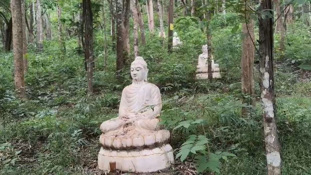 เปิดเส้นทางธรรมชาตินมัสการพระพุทธบาตรพระหัตซ้าย ดอยหนอกน้อย เมืองพะเยา