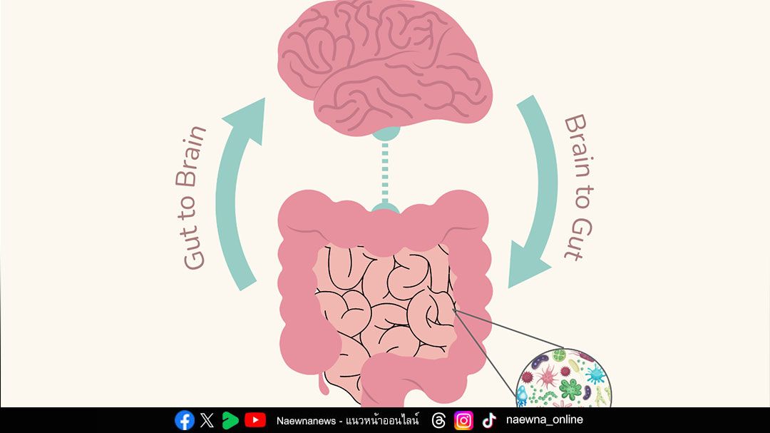 ท้องอืด ลมในท้องเยอะ อาจเกิดจากโครงสร้างร่างกายที่ไม่สมดุล