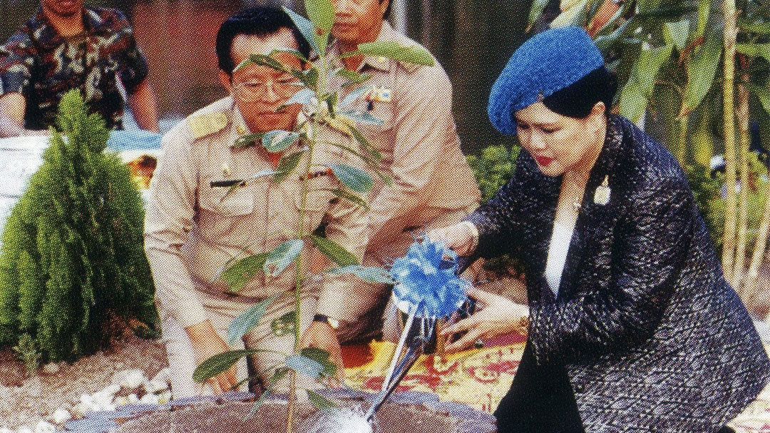 น้อมสำนึกในพระมหากรุณาธิคุณ สมเด็จพระบรมราชชนนีพันปีหลวง ‘โครงการป่ารักน้ำ’ พระราชปณิธานที่ทรงสร้างป่า คืนความชุ่มชื้นสู่ผืนดิน