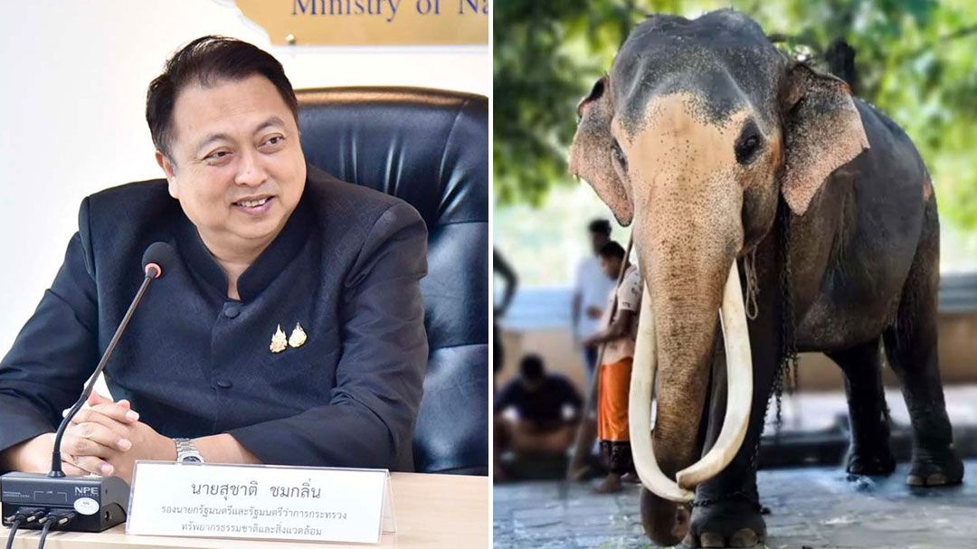 'สุชาติ'นั่งหัวโต๊ะถกแนวทาง เจรจานำ'ช้างไทย'ในศรีลังกา กลับประเทศให้เร็วที่สุด