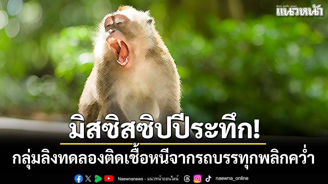 มิสซิสซิปปีระทึก! กลุ่มลิงทดลองติดเชื้อหนีจากรถบรรทุกพลิกคว่ำ