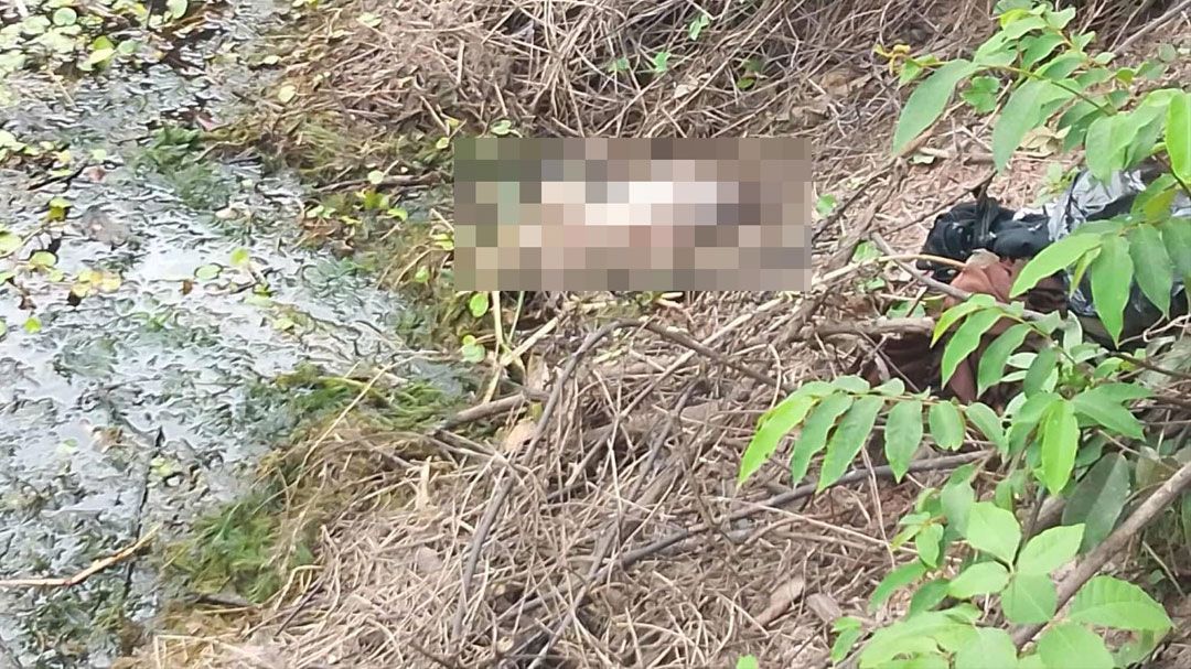 พบศพทารกเพิ่งคลอดทิ้งข้างสระ ตำรวจรู้ตัวแม่ใจยักษ์แล้วอ้างตกใจเด็กหลุดออกมา